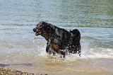 BEAUCERON 681